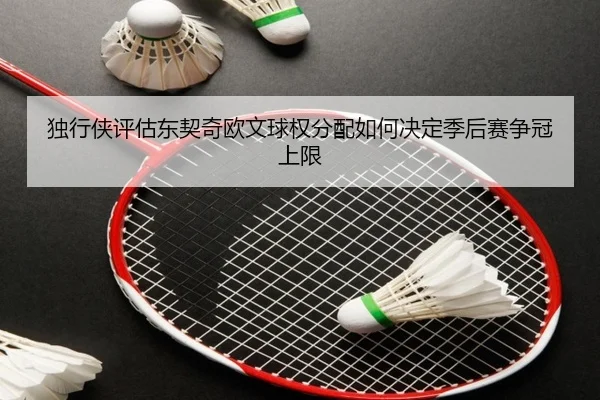 独行侠评估东契奇欧文球权分配如何决定季后赛争冠上限